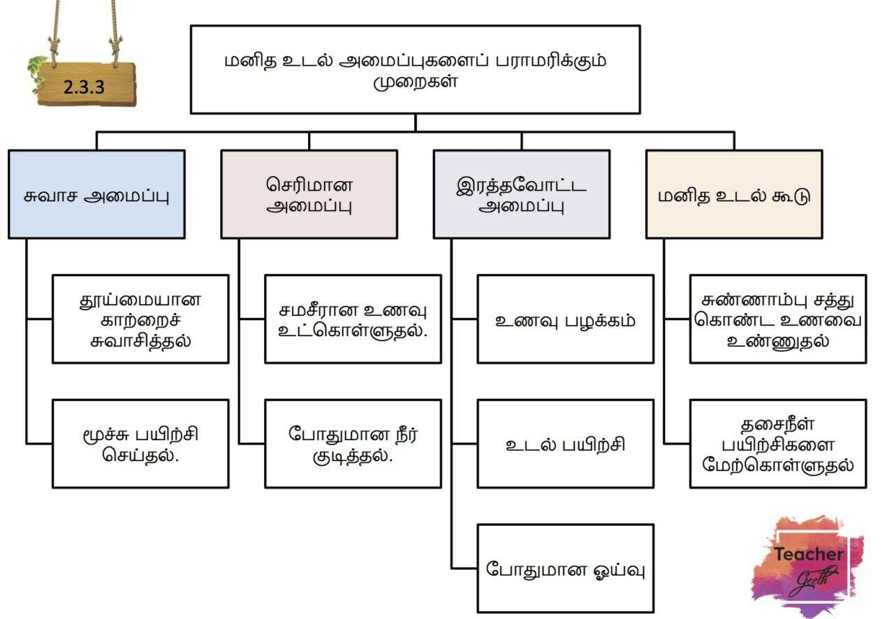 2.0 Human Life Science | Teacher Geeth